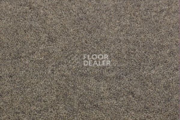 Ковролин Jacaranda Carpets Bilpar Steel Grey фото 1 | FLOORDEALER